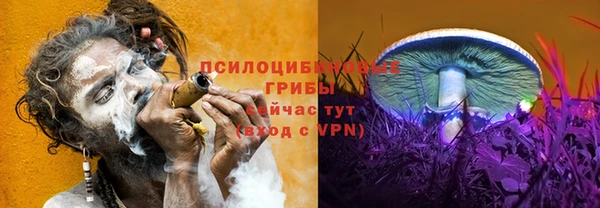 а пвп мука Белокуриха